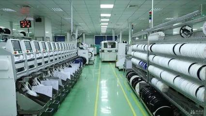 嘉興6家企業入圍2020浙江省民營企業100強，彰顯地方經濟活力