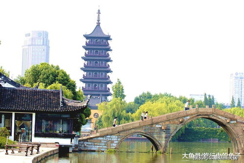 嘉興，不止西塘與烏鎮 詩意江南的別樣打開方式